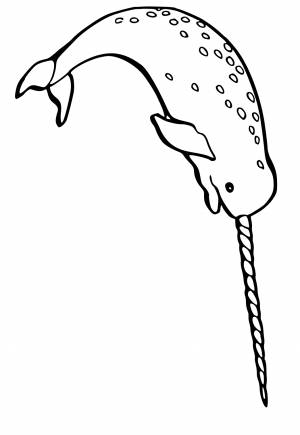 Раскраска Нарвал Погружение