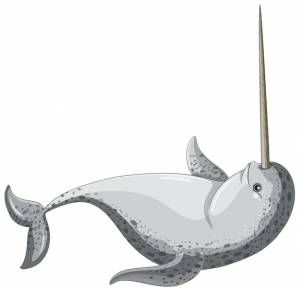 Нарвал на белом фоне