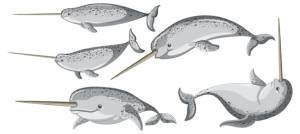 Нарвал в мультяшном стиле