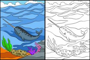 Нарвал раскраски страницы цветные иллюстрации