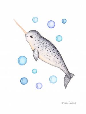 Рисунок нарвал для детей