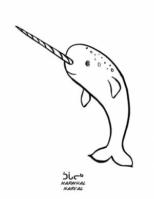 Рисунок нарвал для детей