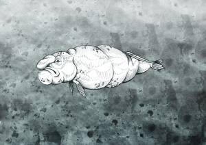 Иллюстрация рыба капля в стиле графика