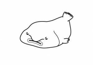 Рыба капля рисунок