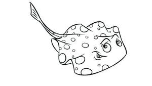 Раскраски рыба камбала