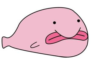 Идеи для срисовки рыба капля