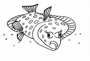 Камбала раскраска