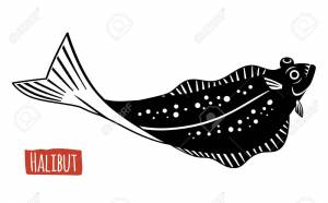 Камбала раскраска