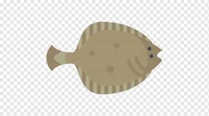 Камбала Компьютерные Иконки, другие, разное, аквариум, другие png