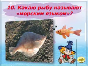 Интеллектуальная викторина Царство рыб