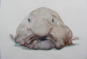 Рыба капля рисунок