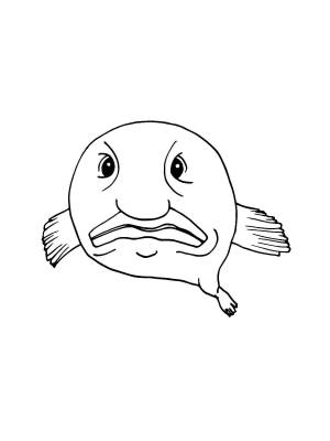 Раскраски Рыба Капля