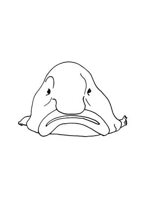 Раскраски Рыба Капля