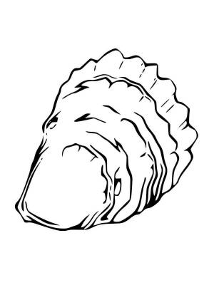 Раскраски Устрица