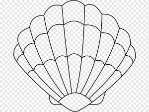 Раскраска Seashell Рисунок Устрица, раковина, угол, белый, животные png