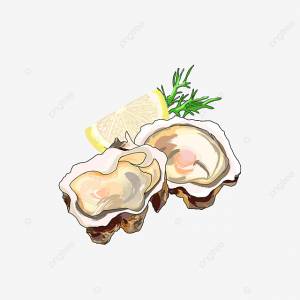 устричный дары моря маленький постер PNG , Oyster Clipart, плакат, устрицы PNG картинки и пнг PSD рисунок для й загрузки