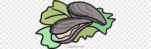Рисование устрицы моллюсков, другие, Разное, еда png