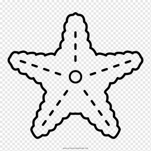 Морская звезда Рисование Книжка-раскраска Море, морская звезда, угол, белый, животные png