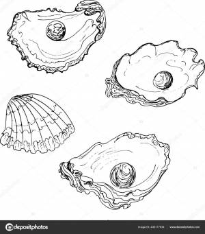 Устрица Жемчугом Рисунок Иллюзии Векторное изображение ©Senyakaeva 445117934