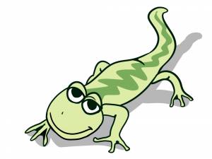 Класс Земноводные