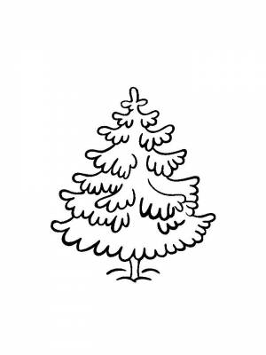Раскраска Ель  для мальчиков
