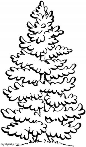 Раскраски ель, Раскраска Новогодняя ель Новый год