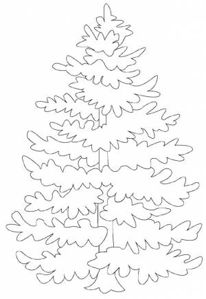 Ель раскраска