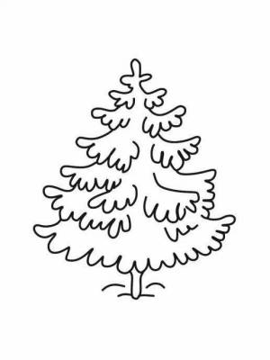 Раскраски Ель для детей