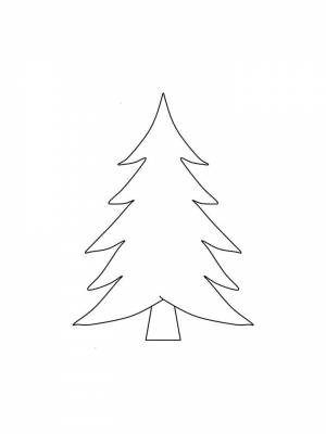 Раскраска Ель картинка