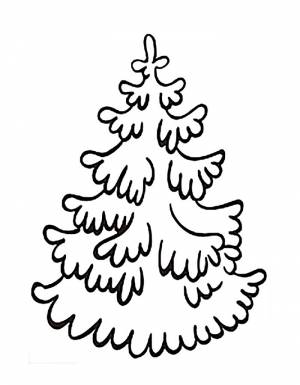 Раскраска ель  и