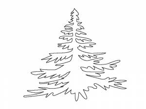 Раскраска Ель