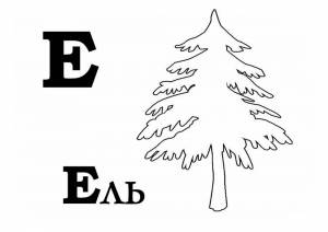 Раскраска Ель