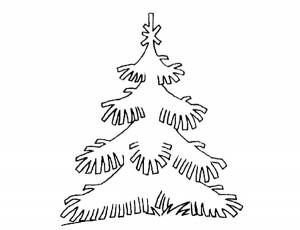 Раскраска Ель
