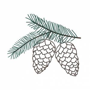 Ручной рисунок ветки рождественской елки с сосновой шишкой на белом фоне декоративные каракули эскиз иллюстрации векторный цветочный элемент