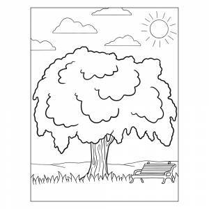 Раскраска Ива в парке