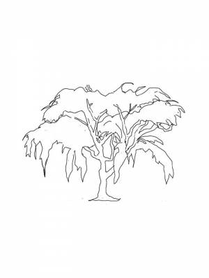 Раскраска Ива  для мальчиков