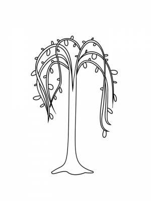 Раскраска Ива   в формате