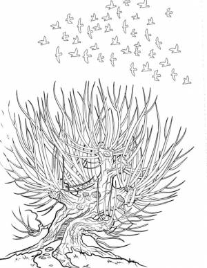 Раскраска Гремучая ива