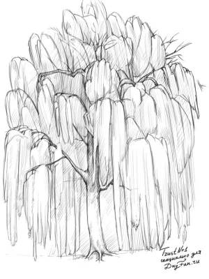 Как нарисовать Иву карандашом поэтапно 6