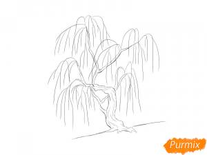 Как нарисовать иву поэтапно 7 уроков