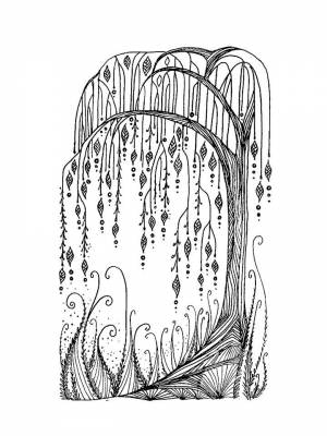 Раскраска Ива   в формате