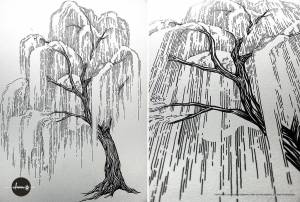 Ива плакучая рисунок карандашом