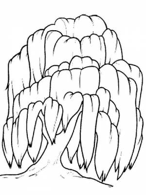 Раскраска Ива   в формате