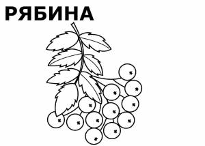 DataLife Engine > Версия для печати > Ветка рябины без ягод раскраска