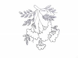 Раскраски Ветка рябины поэтапно