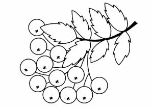 Рябина рисунок для детей