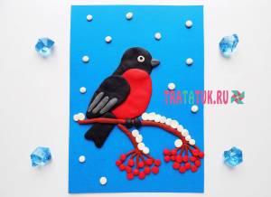 Аппликация из пластна «Снегирь на ветке рябины»