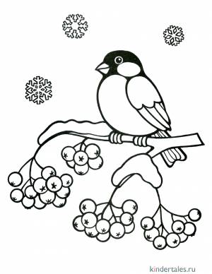 Трафарет снегирь на ветке рябины