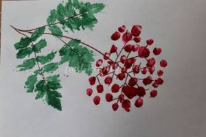 Рисование для детей 2-3 лет Гроздь рябины пошагово с фото
