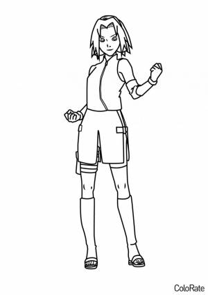 Раскраска Сакура Харуно